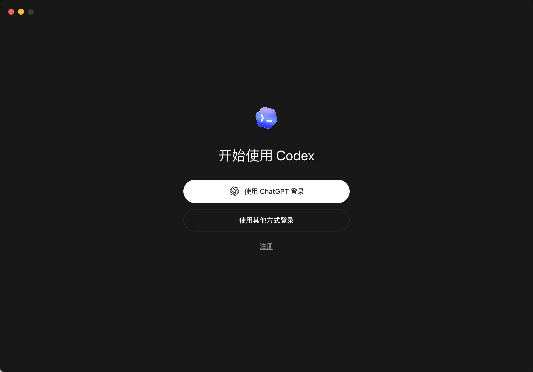 Codex 欢迎界面