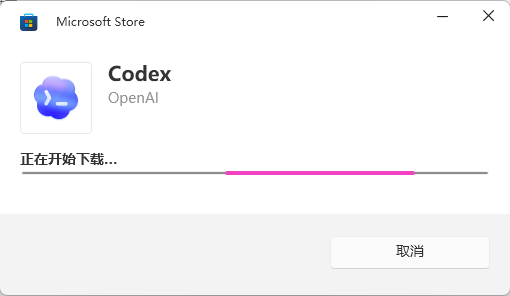Microsoft Store 安装窗口